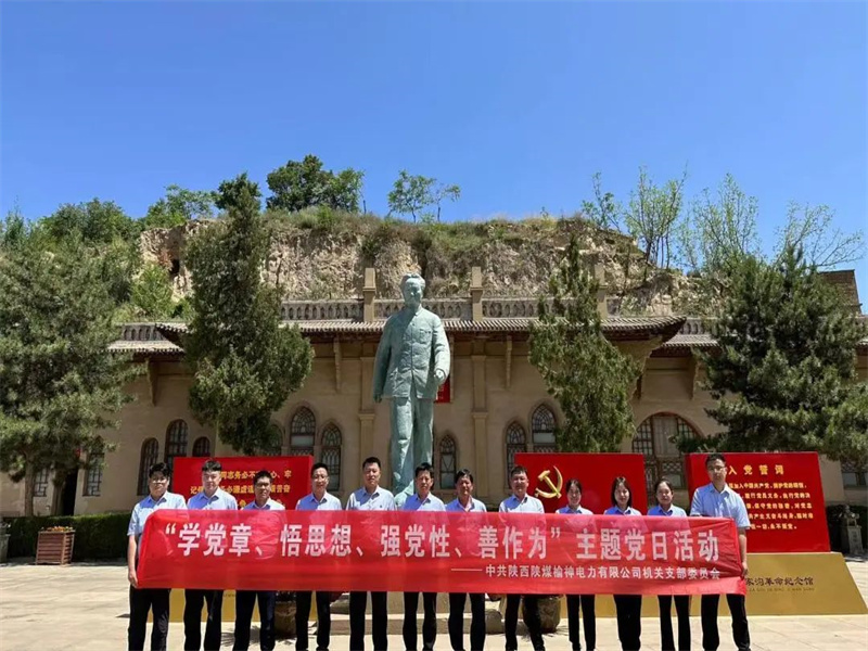 榆神電力公司開(kāi)展“學(xué)黨章、悟思想、強(qiáng)黨性、善作為”主題黨日活動(dòng).jpg