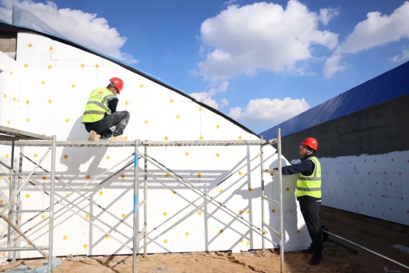 201760949449197823.jpg 1.jpg